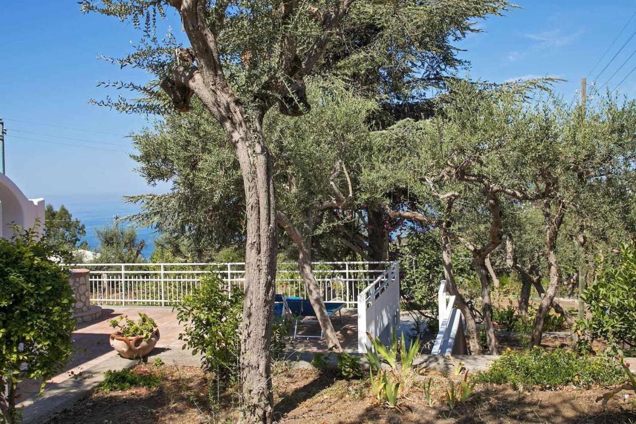 Villa Romano, Anacapri Экстерьер фото